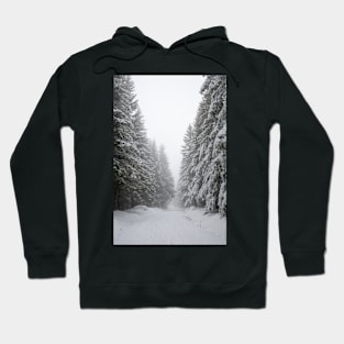 Winter Forest Hoodie